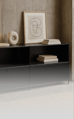 final feat. image TZ franz