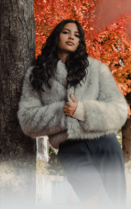 website featured imagea chicoree