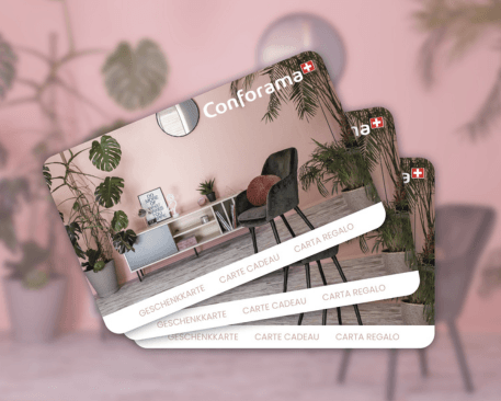 conforama feat image FR