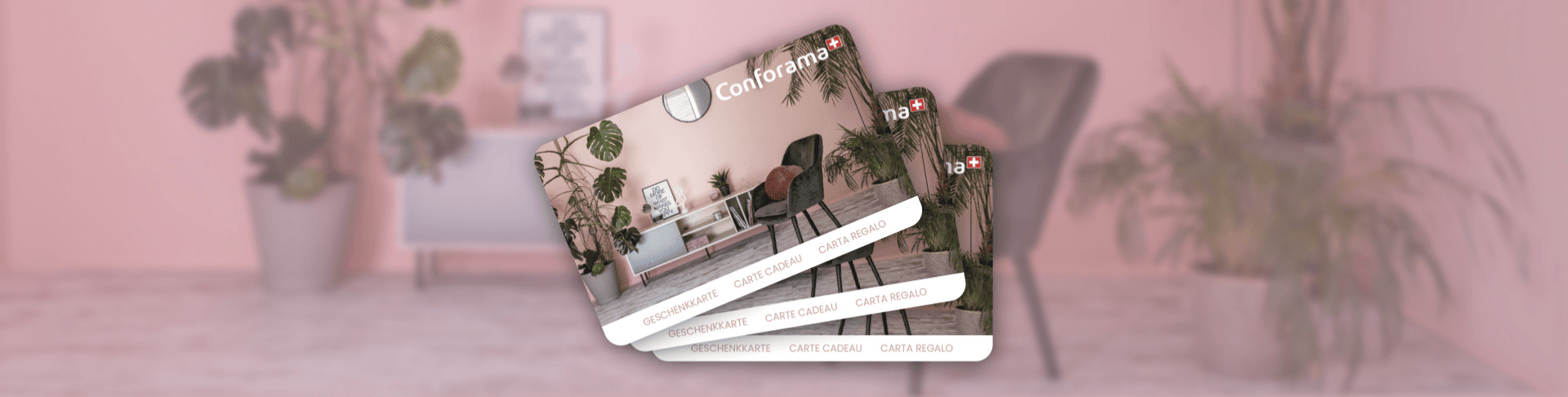 conforama banner pour blog FR