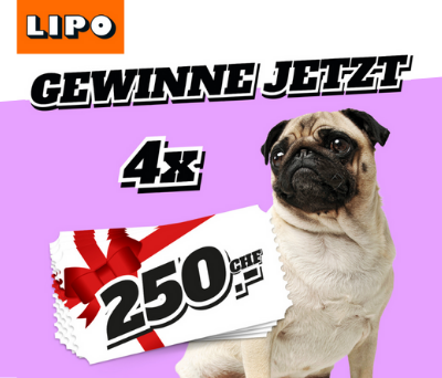 Gewinne deinen Home & Living Gutschein von LIPO