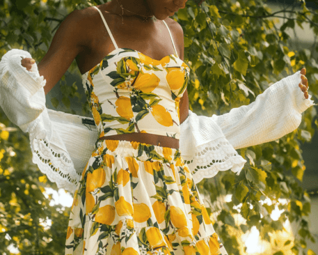 Chicorée K5 Blog Beitragsbild Text 457 x 366