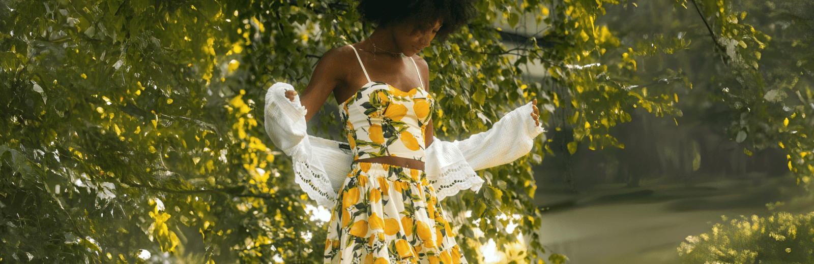 Chicorée K5 Win4WIn Blogbeitrag Hintergrund