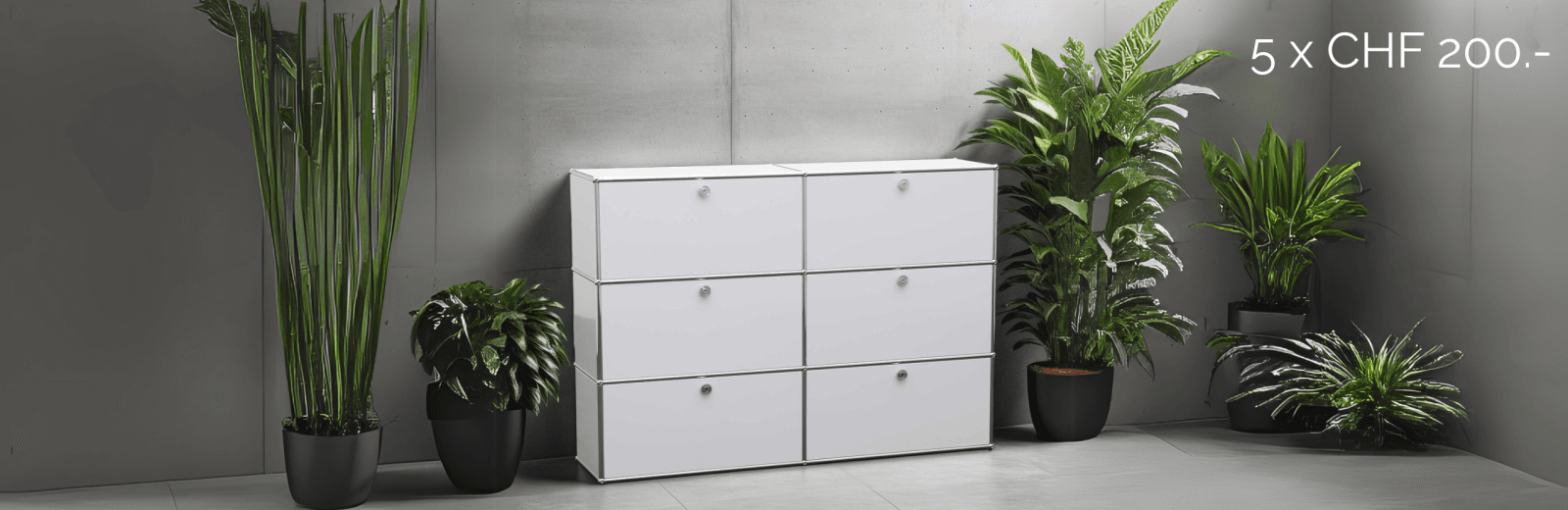 Tradingzone K5 Win4WIn Blogbeitrag Hintergrund