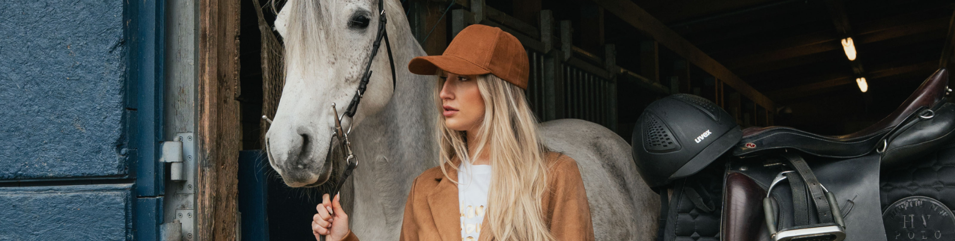 kostenloser Wettbewerb Chicorée