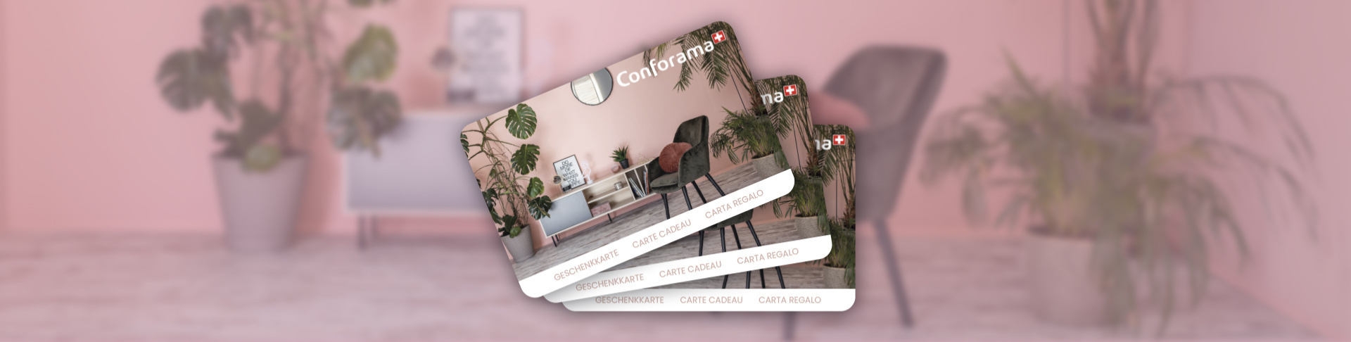 conforama blog banner