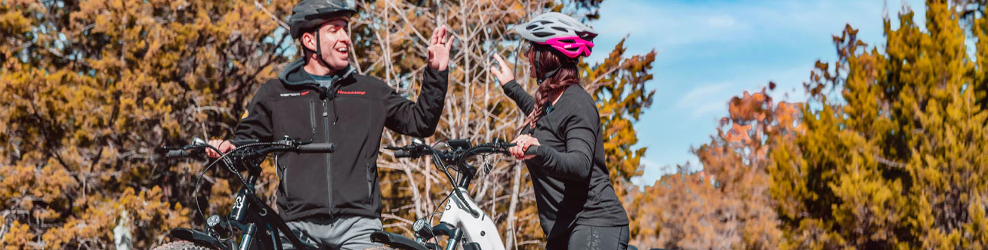 ebike banner desktop