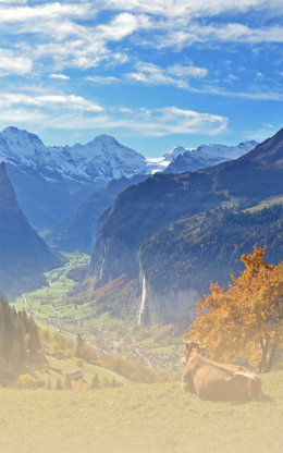 Made in Bern Wettbewerb Karussellbild